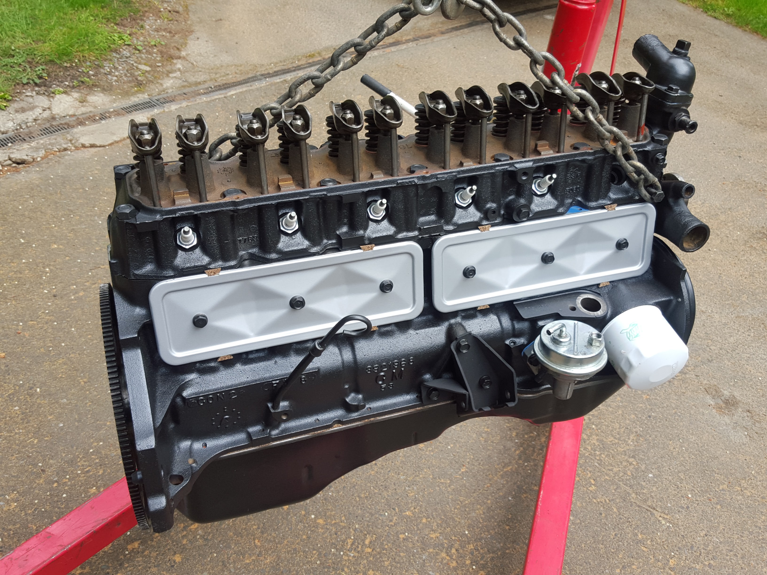 Fresh 250 ready for transplant